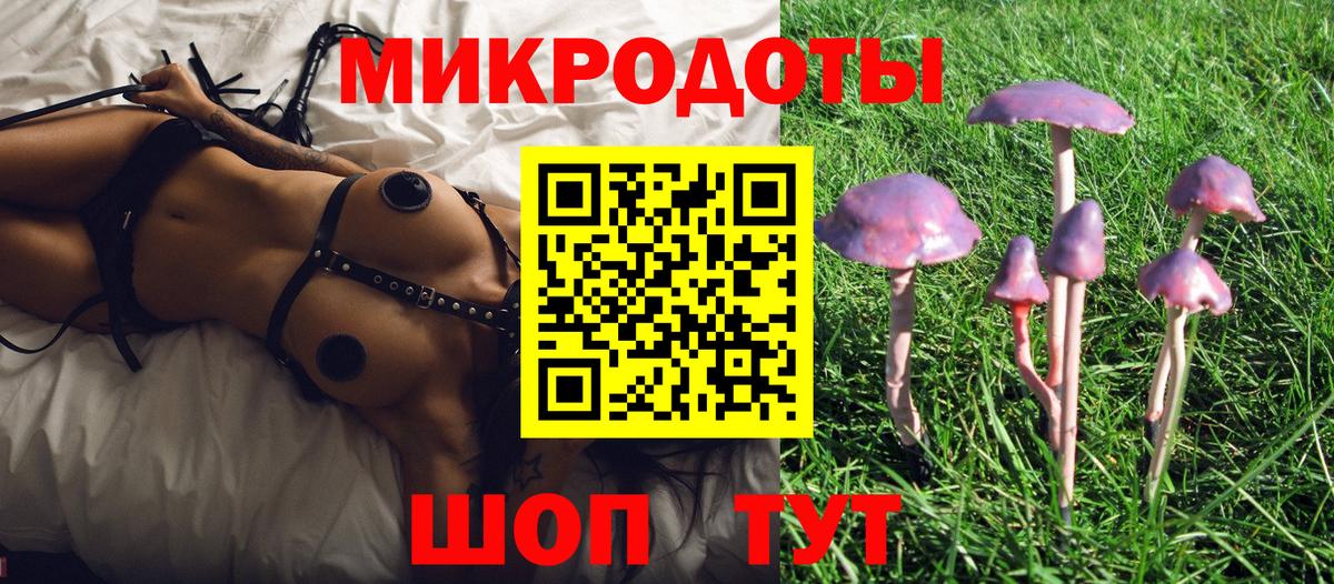 Галлюциногенные грибы прущие грибы Саянск