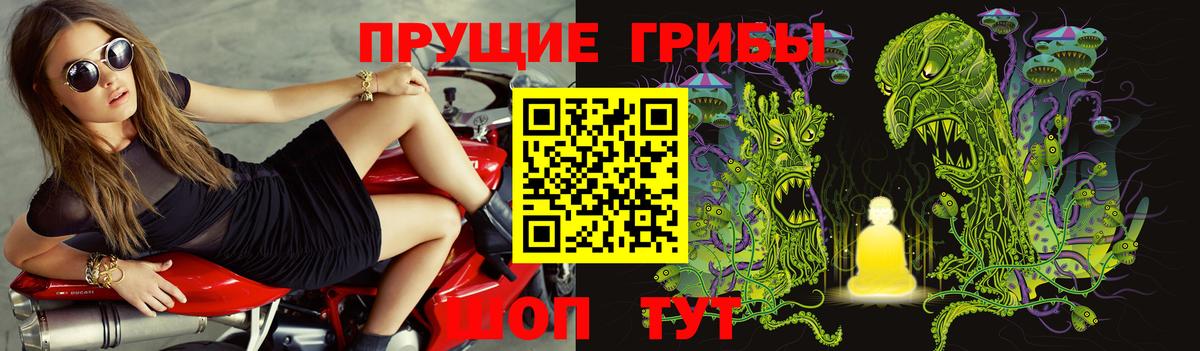 Галлюциногенные грибы прущие грибы  Вход с VPN  Саянск 